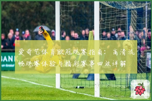 爱奇艺体育欧冠观赛指南：高清流畅观赛体验与精彩赛事回放详解