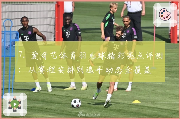 7. 爱奇艺体育羽毛球精彩亮点评测：从赛程安排到选手动态全覆盖