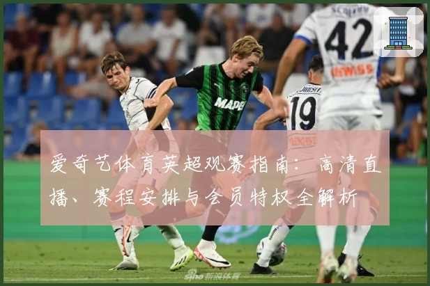 爱奇艺体育英超观赛指南：高清直播、赛程安排与会员特权全解析